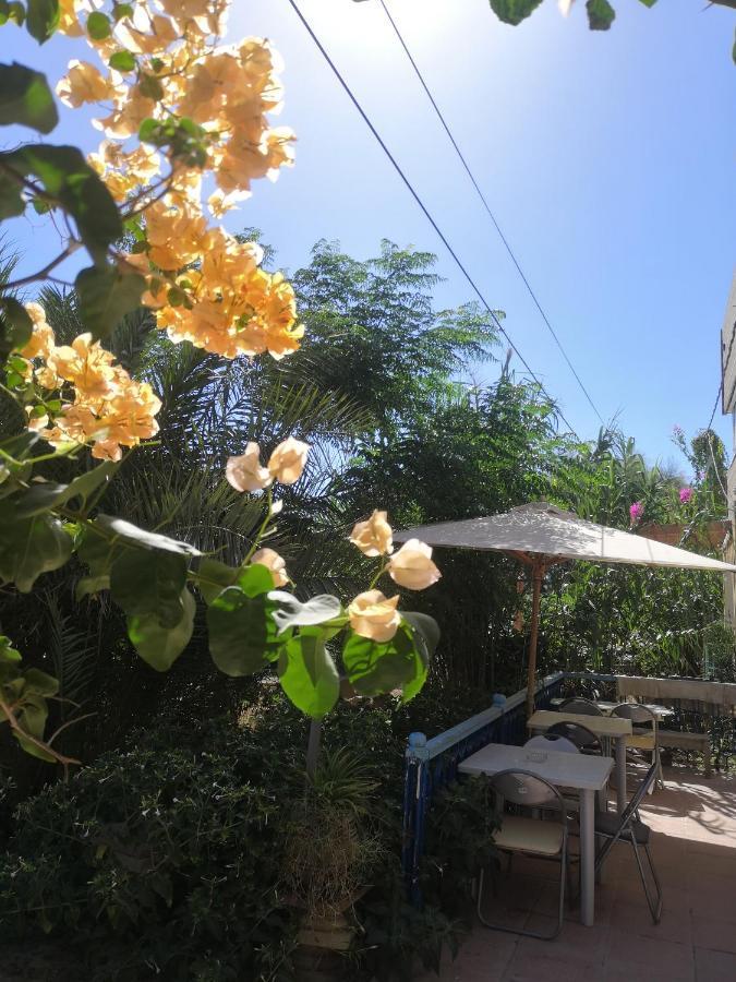 Hotel L'Hirondelle De Kelibia : Chez Amou Exterior foto